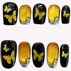 Golden Nightfall Flutter